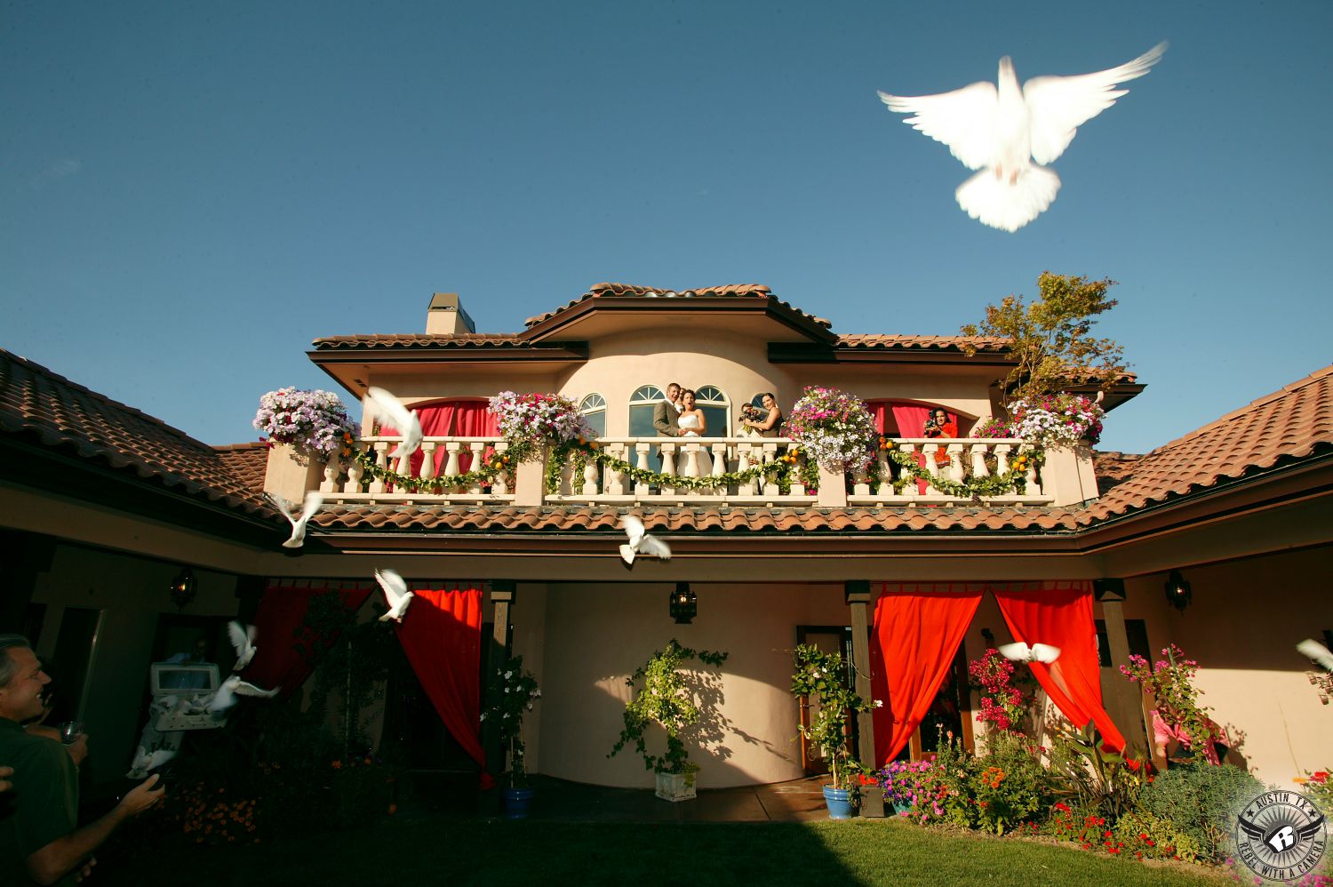 Dove flies and spreads its wings from a dove release as a surprise for the bride at the end of a wedding ceremony at a Tuscan style mansion.