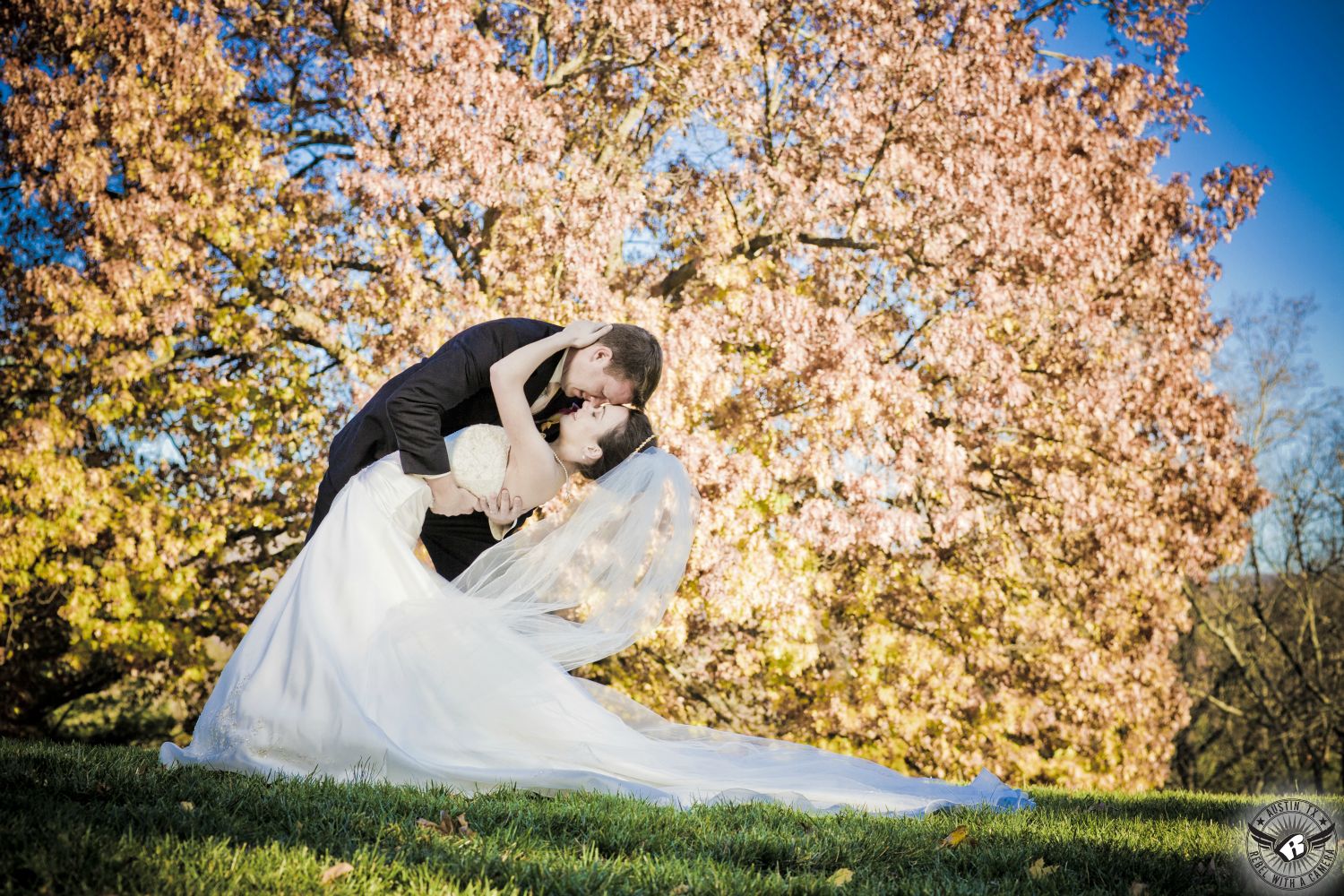 Groom dramatically dips bride in strapless wedding dress in front of large oak tree with gorgeous orange and yellow colored fall leaves in autumn after their wedding ceremony.