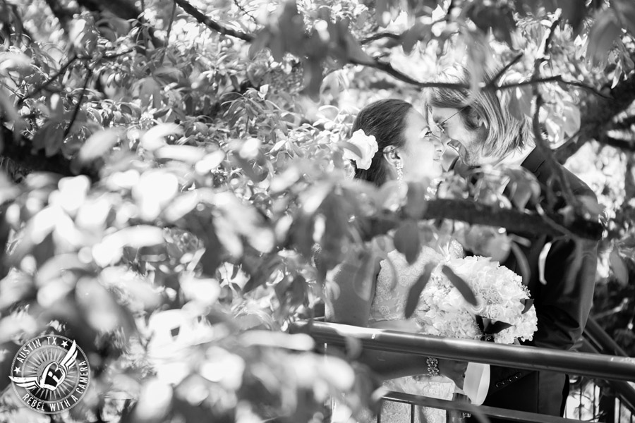 Austin wedding photographer at Olive and June - bride and groom in the trees