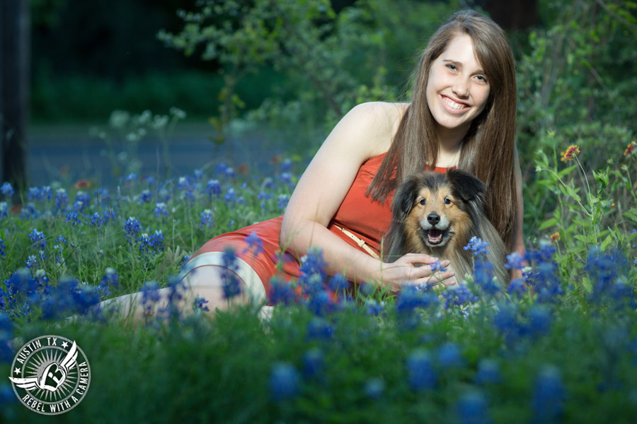 Longhorn graduation pictures in burnt orange sundress with miniature collie in the bluebonnets