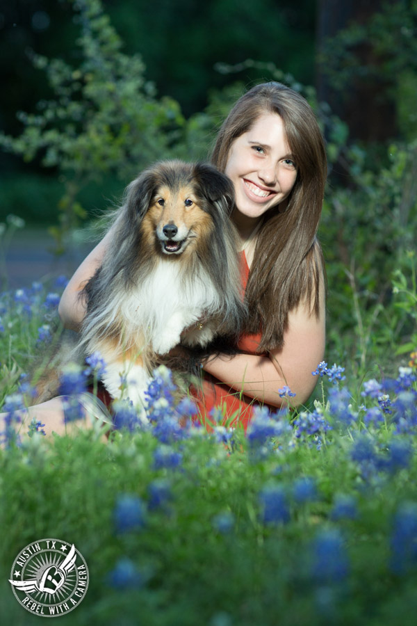 Longhorn graduation pictures in burnt orange sundress with miniature collie in the bluebonnets