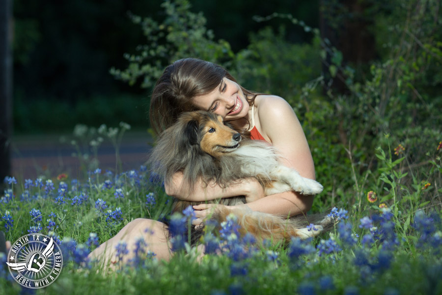 Longhorn graduation pictures in burnt orange sundress with miniature collie in the bluebonnets