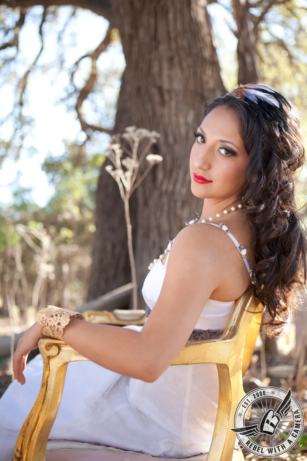 Bride in a white dress seated in a gold chair beneath a large tree in Austin, TX.