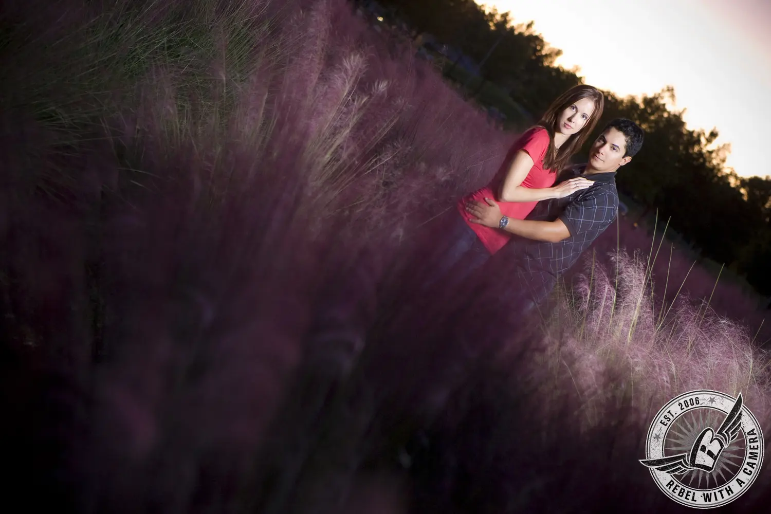 Couple embracing in pink ornamental grass at sunset in Austin, TX.