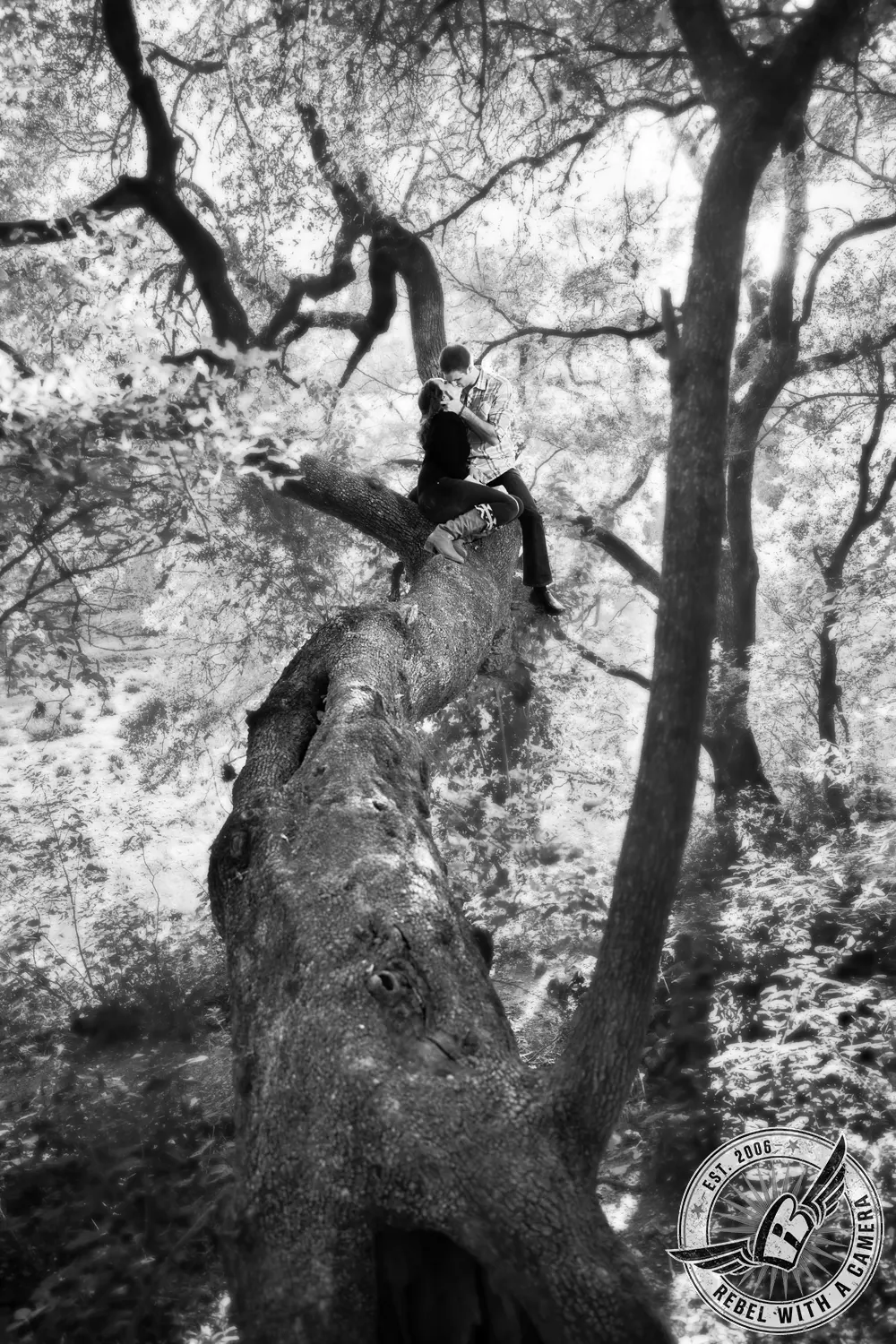 Black and white couple kissing while sitting on a large fallen tree in Austin, TX.