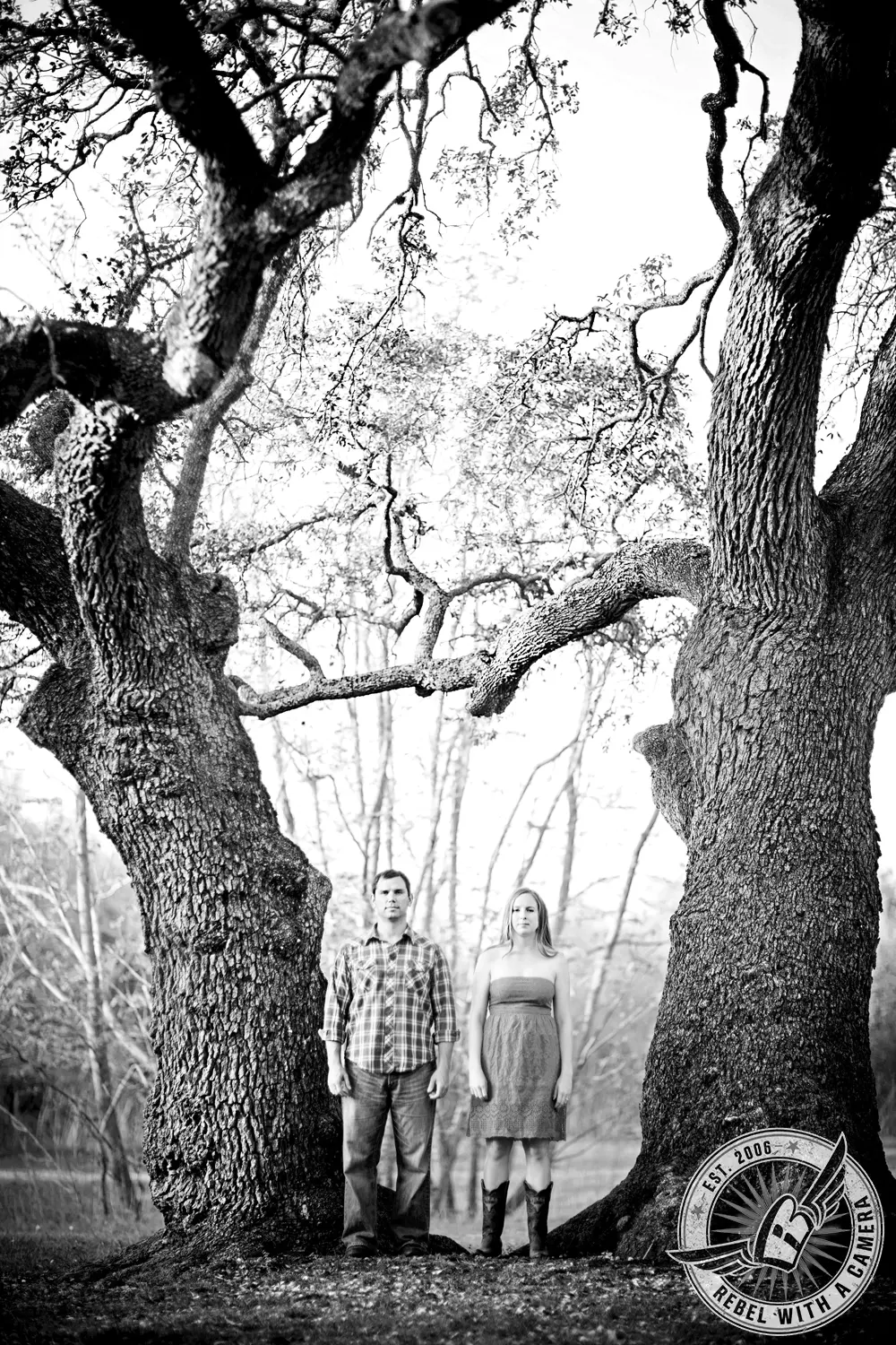Black and white couple portrait framed by two large oak trees in Austin, TX.