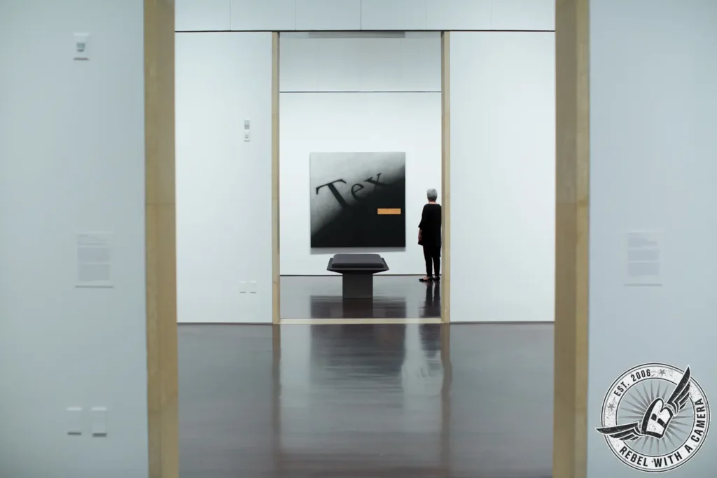 Museum visitor viewing artwork in a modern gallery in Austin, TX.